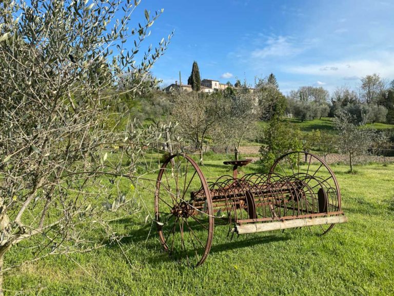 Tuscany-Property-For-Sale-Grotta-004